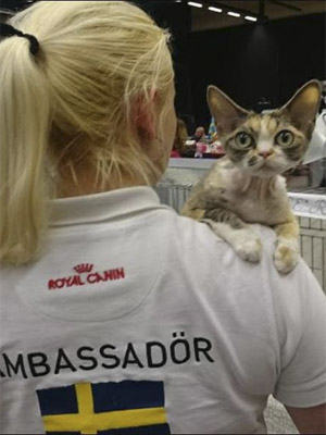 Семья с котёнком